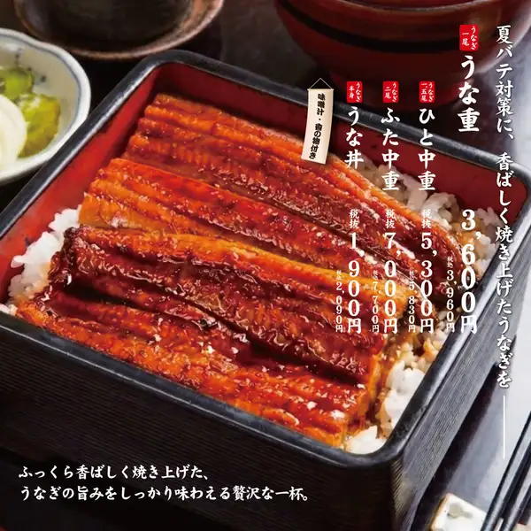 期間限定　うなぎ　