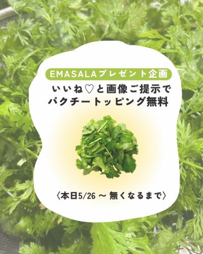 パクチートッピング無料❣️

@e_masala 
イーマサラのインスタフォローしてくださって
どうもありがとうございます✨

- - - - - - - - - - - - - - - - - - - - - - - - - -

この投稿にいいね♡とスタッフに画像ご提示
いただいた方には〈パクチートッピング無料〉
やっちゃいます！

本日5/26〜無くなるまで🌿

- - - - - - - - - - - - - - - - - - - - - - - - - -

ぜひご利用ください☺️

.
-

#イーマサラ #emasala 
#中央林間 #パクチー #パクチートッピング無料 
#プレセント企画 #大和市グルメ #町田グルメ 
#相模大野グルメ #南町田 #スパイスカレー 
#スパイスカレー部 #ネパール料理 
#フォロワーさん感謝企画