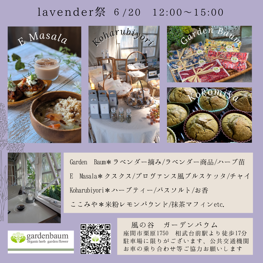 Lavender