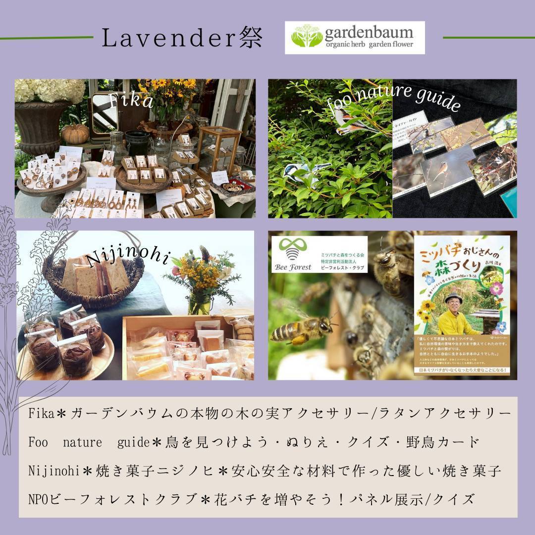 Lavender Festival