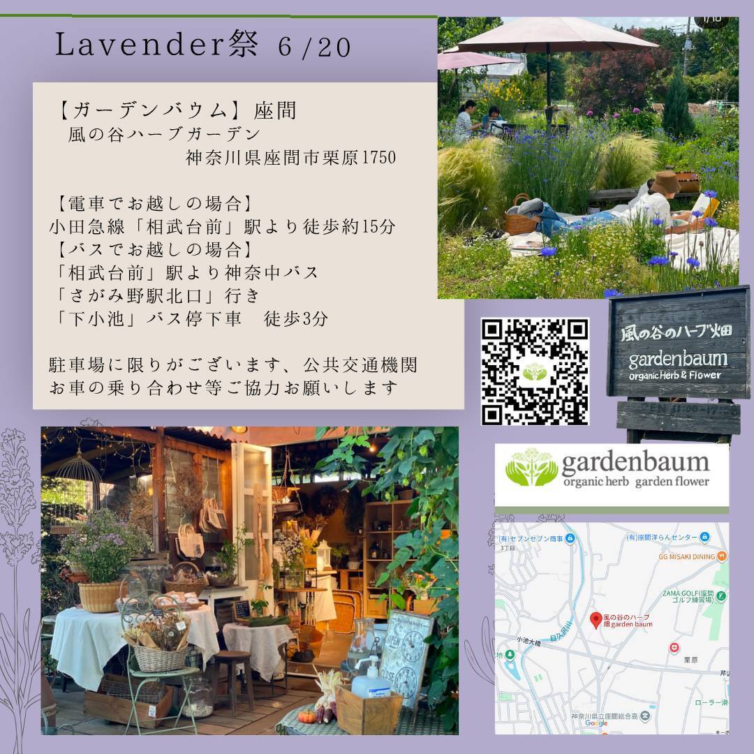 Lavender Festival
