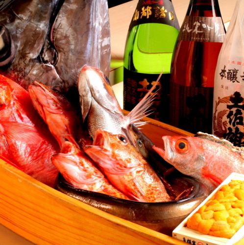 新鮮なお魚を手軽価格で楽しめる魚料理専門店！