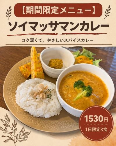 [Limited Time Offer] Soy Massaman Curry (Limited to 3 servings per day)