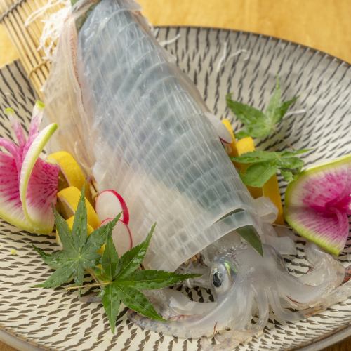 職人技が光る!活造り呼子直送ヤリイカ(本日の量り売り 100グラム)本日のサイズ250g~350g
