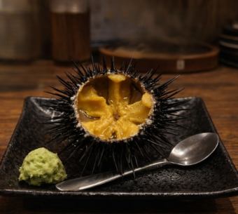 带壳海胆刺身