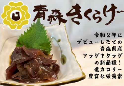 青森木耳菇