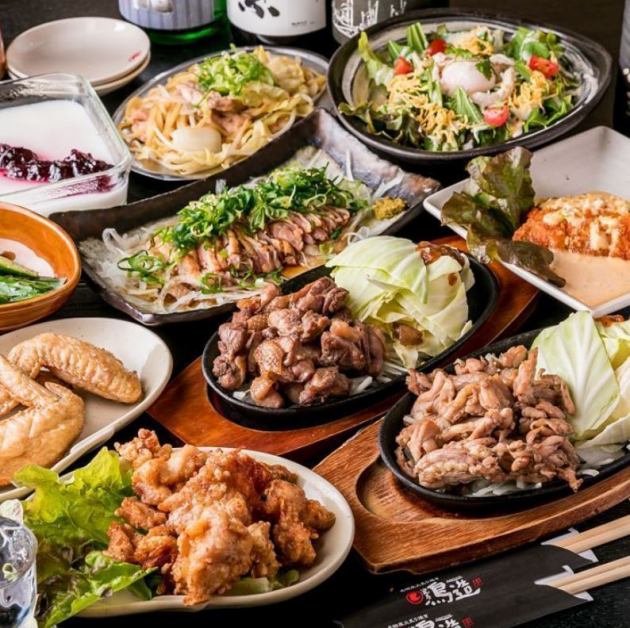 2時間飲み放題付 翼 ツバサ コース 全10品 宴会 飲み会 女子会 歓送迎会 浪花屋 鳥造 行徳店