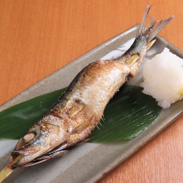 大トロ金華いわし一本焼き