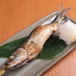 （魚）大とろ金華いわし一本焼き