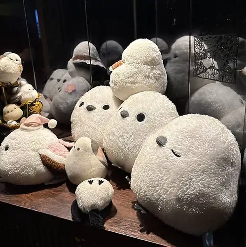 가게 안에는 시마에나 ♪