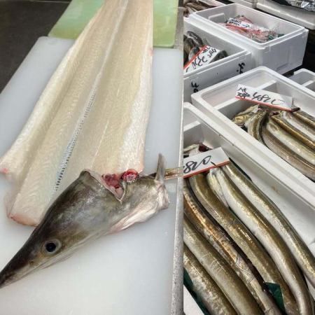 鱧（ハモ）の季節です