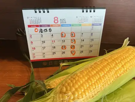 8月の予定