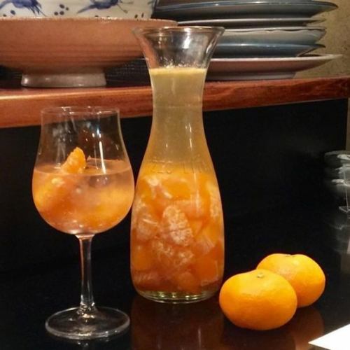 ドリンクサングリア!本日のおすすめ★