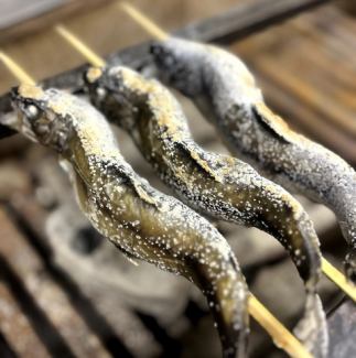 Grilled char skewers from Yamato Town, Miyagi Prefecture