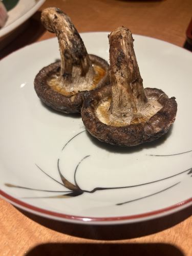 이와테현산 점보 표고버섯