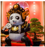 A panda welcomes you in the stylish neon shop♪