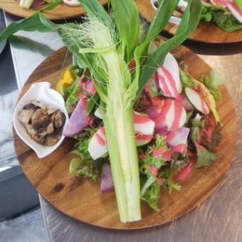 三浦産直野菜のセゾンサラダ