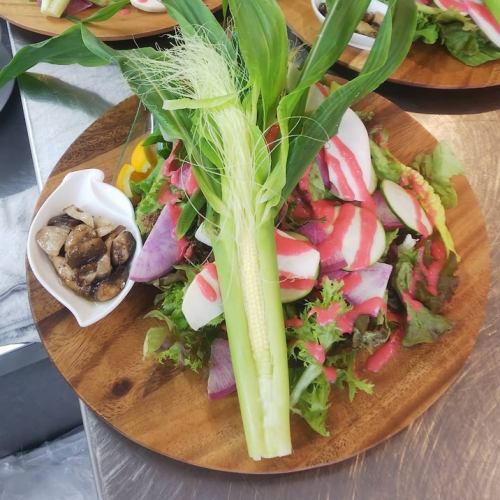 三浦産直野菜のセゾンサラダ