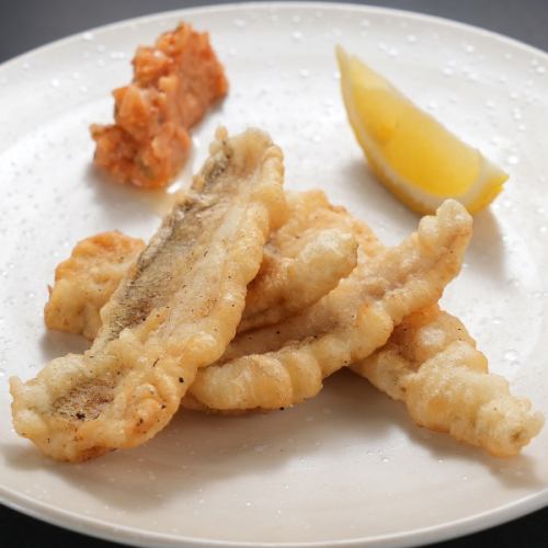 旬の魚貝のおすすめ料理は日替わり料理としてご提供！