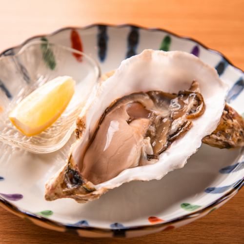 [Offered at cost price! You're lucky if you come across them] Raw oysters