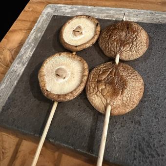 Shiitake