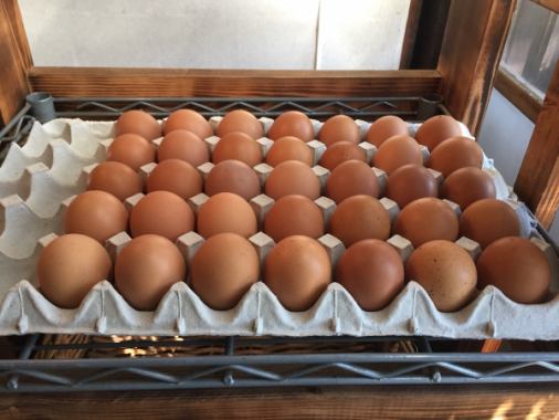 店内では、川鍋養鶏所さんの「もみじたまご」を販売しております♪ビタミンたっぷり、広々とした自然豊かな土地で作る美味しいたまごはお土産にオススメです！