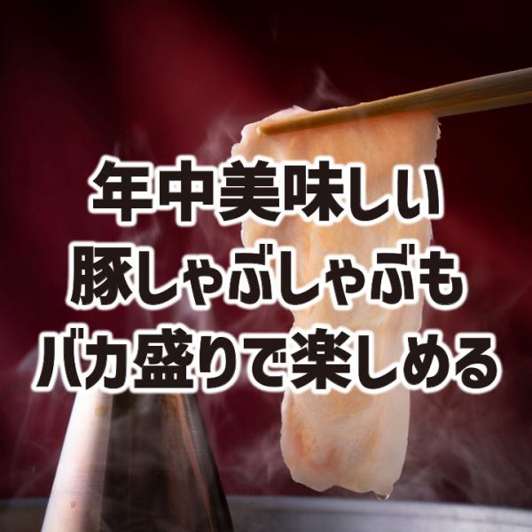 【豚しゃぶ】年中美味しい鍋料理もバカ盛りでお楽しみいただけます！