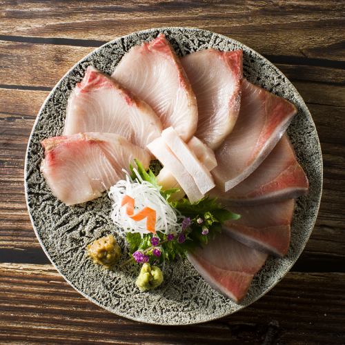 Famous yellowtail sashimi (back/belly)