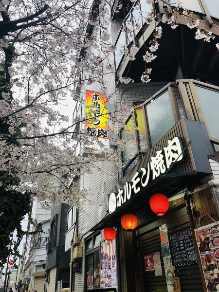 店内のコンセプトは「家庭的」であること。リラックスしやすい雰囲気作りに尽力しているためか、新規でご来店されるお客様からの「また来たい」という声をたくさんいただいております。疲れた時にフラリと立ち寄る時も、大勢でワイワイ騒ぎたい時も。当店は、いつでも皆様のお越しをお待ち申し上げております。