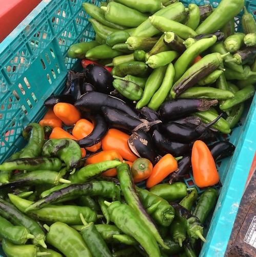 旬の野菜を使った料理はスタッフまで！