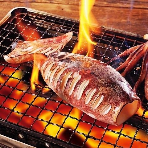 生干し氷下魚(こまい)2尾 /丸イカ炭火焼き
