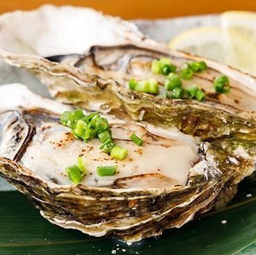 かき焼き/エイヒレ/殻付き 帆立バター