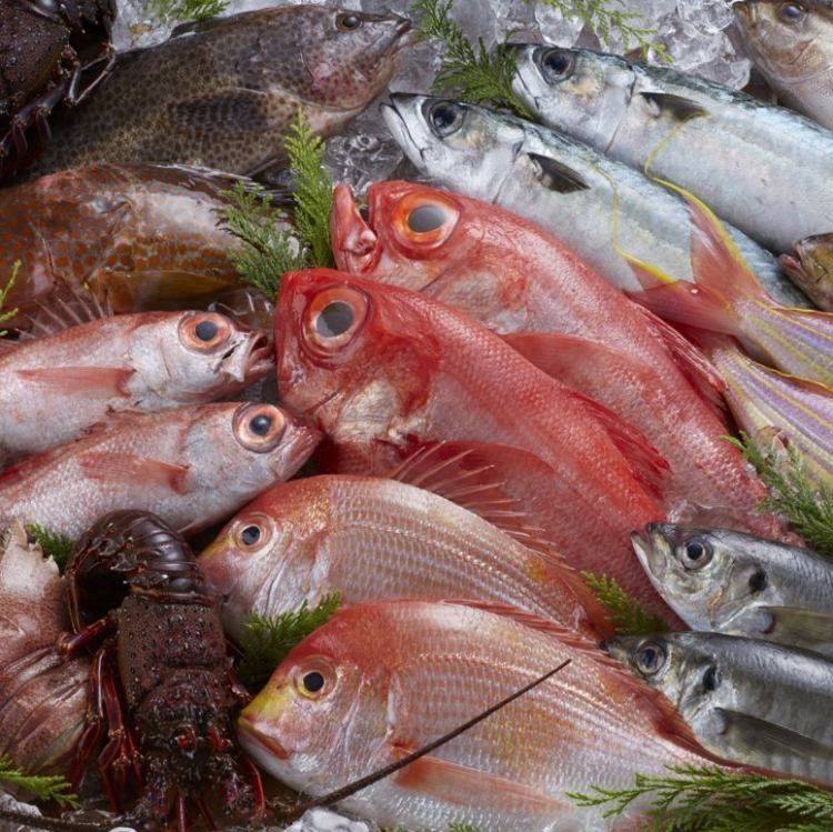 長崎居酒屋 ふぐぶた酒場 公式