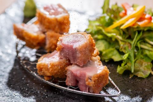 일본 제일 행복한 돼지로 불리는 시마 바라 반도의 芳寿豚