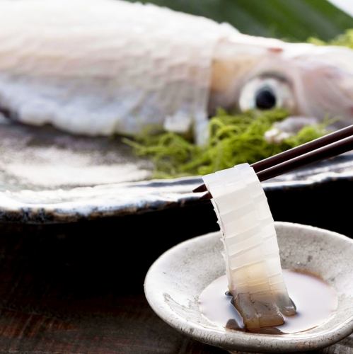 Squid sashimi (for 3-4 people)