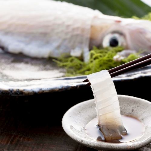 いか姿造り(三～四人前)