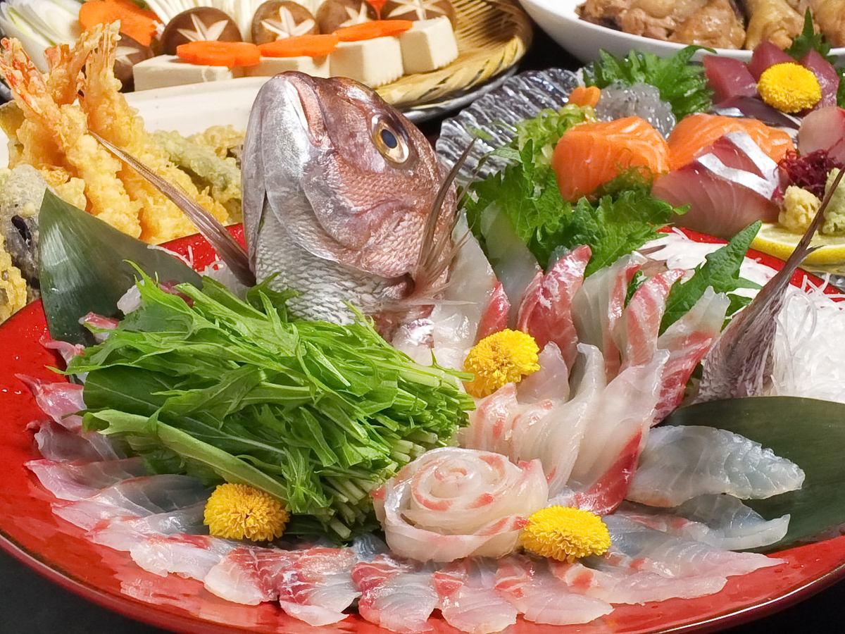 您可以尽情享受我们的特色鱼类、肉类和远州美食。
