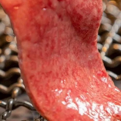 엄선 고기를 맛보는 육식 코스