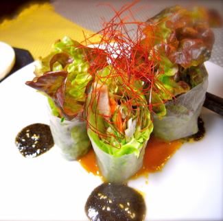 ホーチミンサラダ