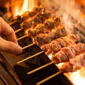 Hakata grilled skewers assortment