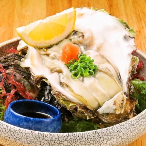 Raw oyster (one)
