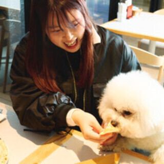 店内もワンちゃんOK!