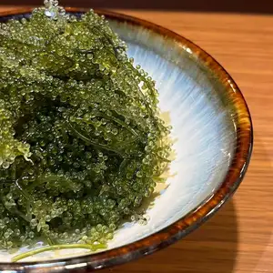 海ぶどう