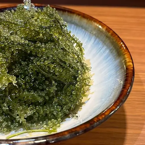 海ぶどう