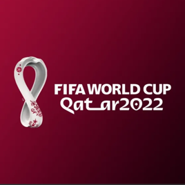 W杯も観戦できます♪