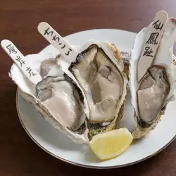 Today's tasting of 3 types of raw oysters