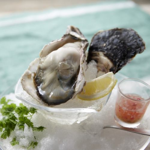 徳島県産“渦潮キング”のRock'n'オイスター(7/8~)