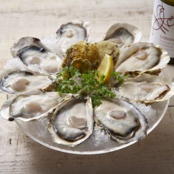 Cold Oyster (1 piece)