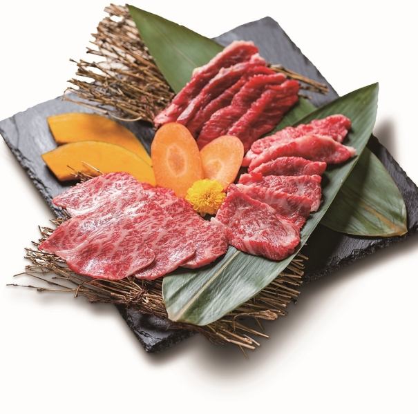 迷ったらこれ！【肉盛り】