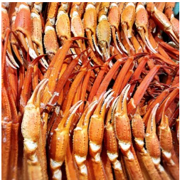 （晚餐时间）雪蟹无限量畅吃 6,980日元（含税）